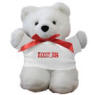 Bandit BBQ Teddy Bear